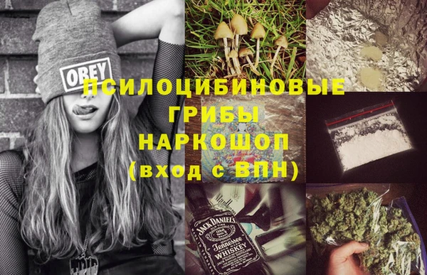 spice Алексин