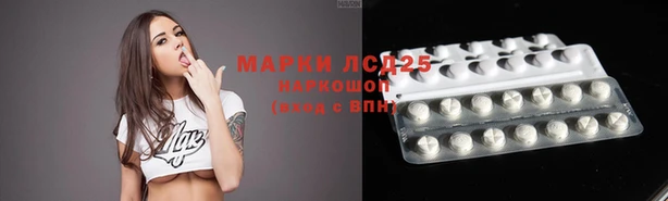 прущие крисы Алзамай
