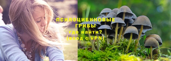 марки nbome Алексеевка