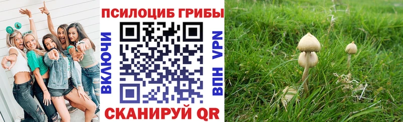 Псилоцибиновые грибы Magic Shrooms kraken вход Грязовец